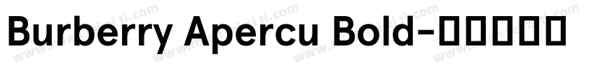 Burberry Apercu Bold字体转换